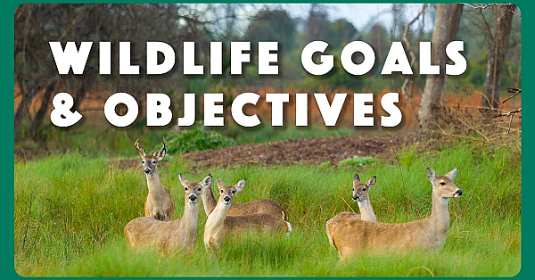 Wildlife Management Goals And Objectives