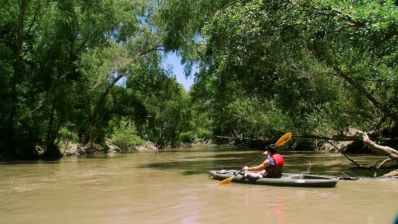 Pbs Show Goliad Paddling, Protecting Deer, Conservation Art, #2710