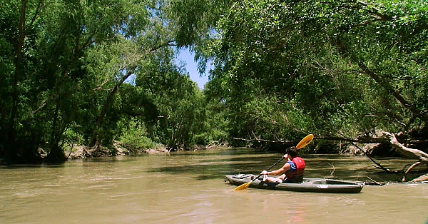 Pbs Show Goliad Paddling, Protecting Deer, Conservation Art, #2710