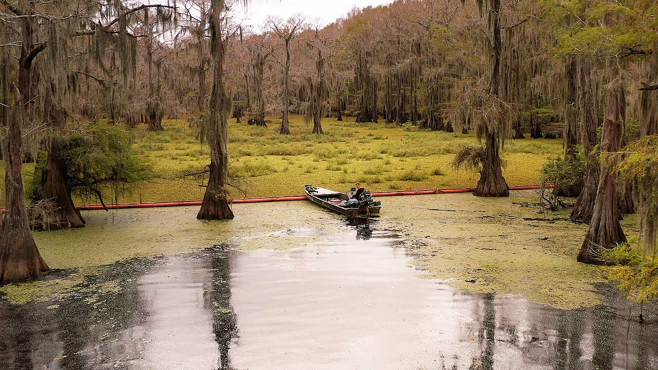 The Giants Of Caddo Lake - Texas Parks And Wildlife [official]
