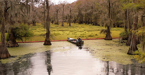 The Giants Of Caddo Lake - Texas Parks And Wildlife [official]