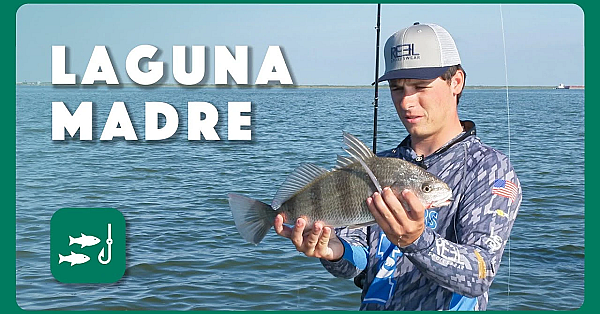 Fishing Laguna Madre