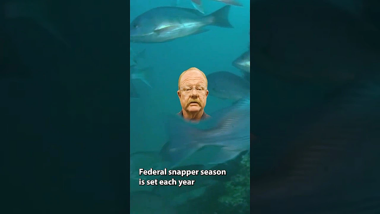 Red Snapper SZN #coastalfishing