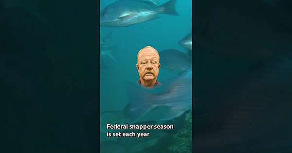 Red Snapper SZN #coastalfishing