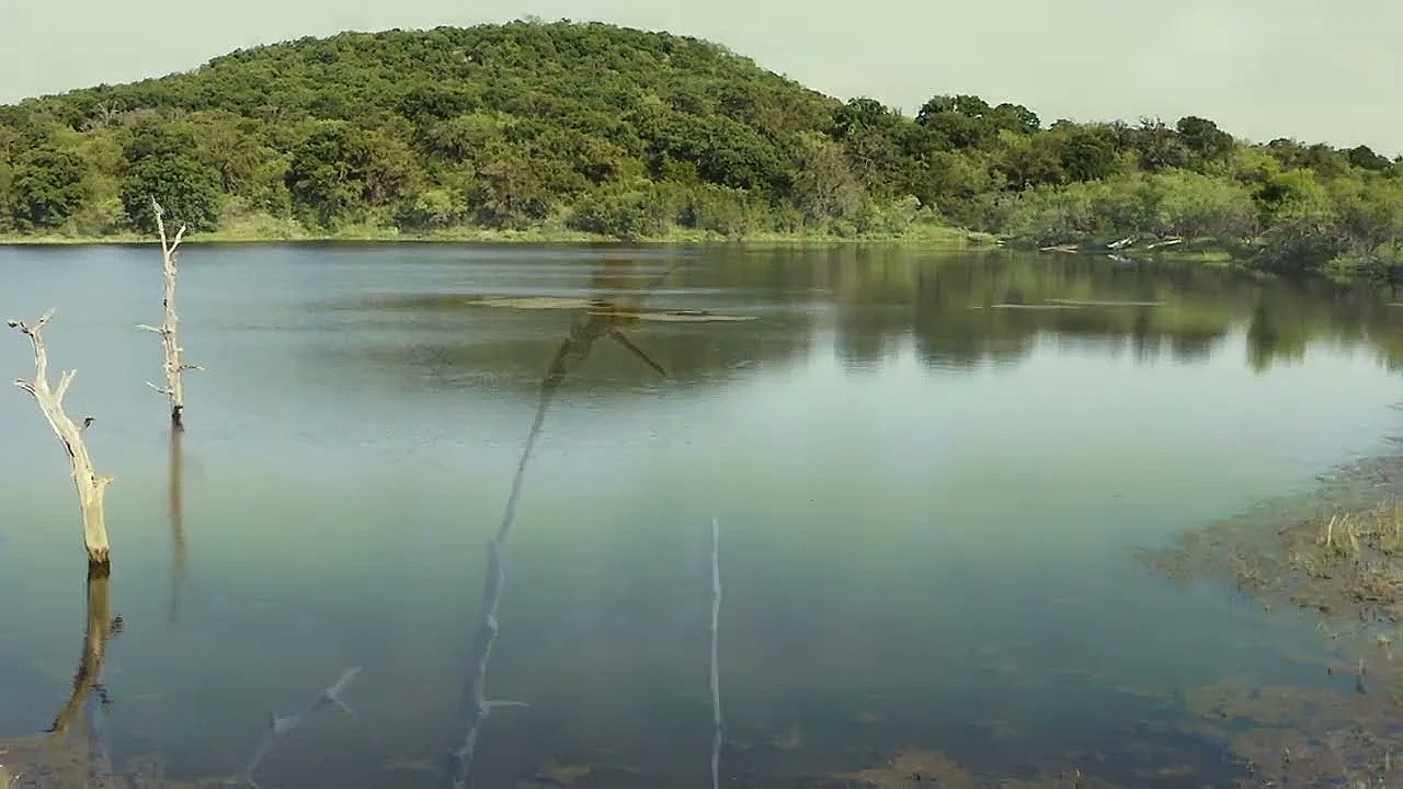 Postcard From Texas: Fawcett Wildlife Management Area