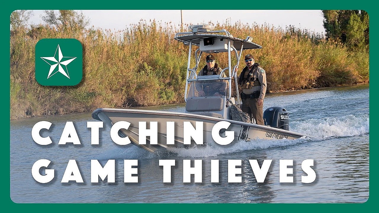 Operation Game Thief