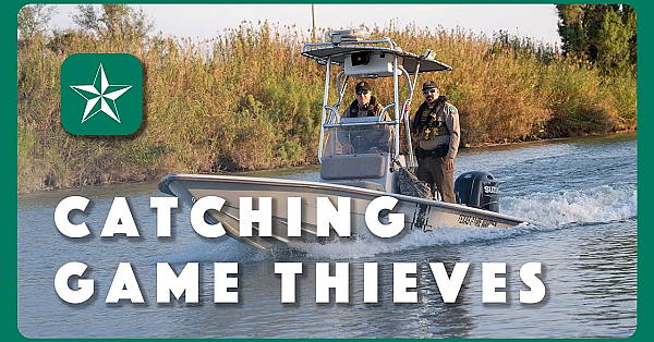 Operation Game Thief