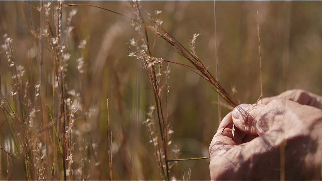 Pbs Preview - Restoring Grassland, Team For Conservation, Catching Carp