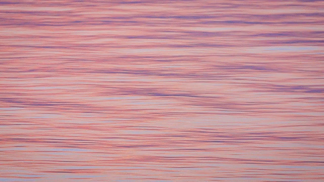 Pbs Preview - Nature Photographer Memories, Cooper Lake State Park, Devils River Advocates