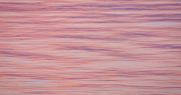 Pbs Preview - Nature Photographer Memories, Cooper Lake State Park, Devils River Advocates