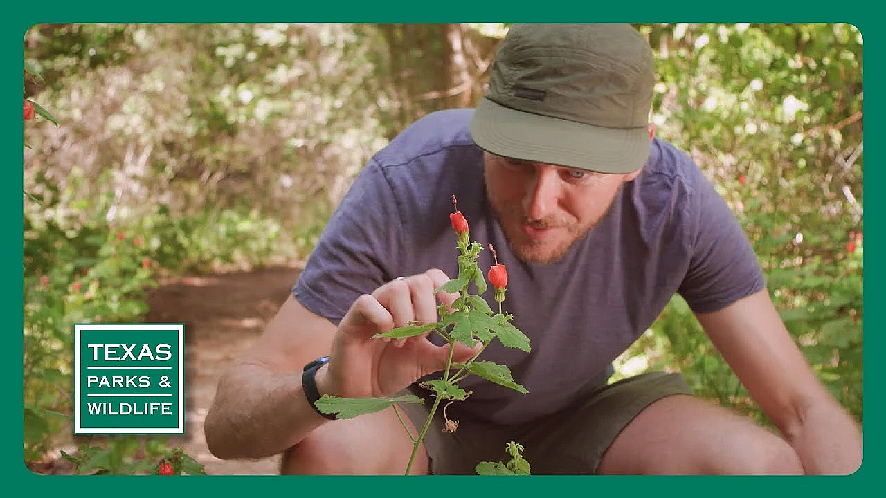 Tpw Trailer - Episode 8, Season 40