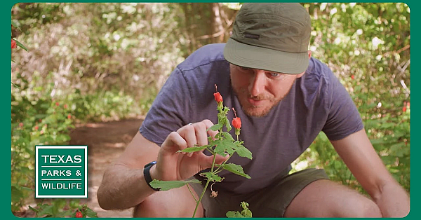 Tpw Trailer - Episode 8, Season 40