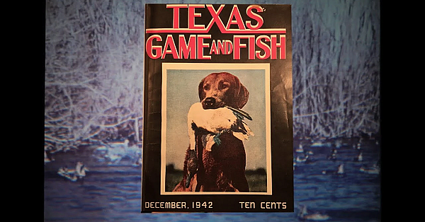 Texas Parks And Wildlife Magazine: 80 Years In Print