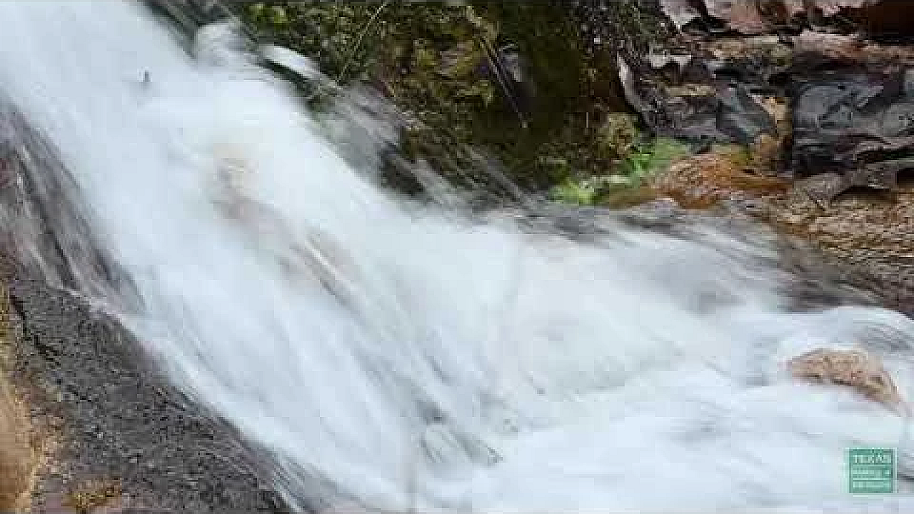 Spicewood Springs At Colorado Bend - Postcard From Texas