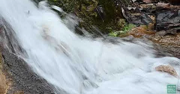 Spicewood Springs At Colorado Bend - Postcard From Texas