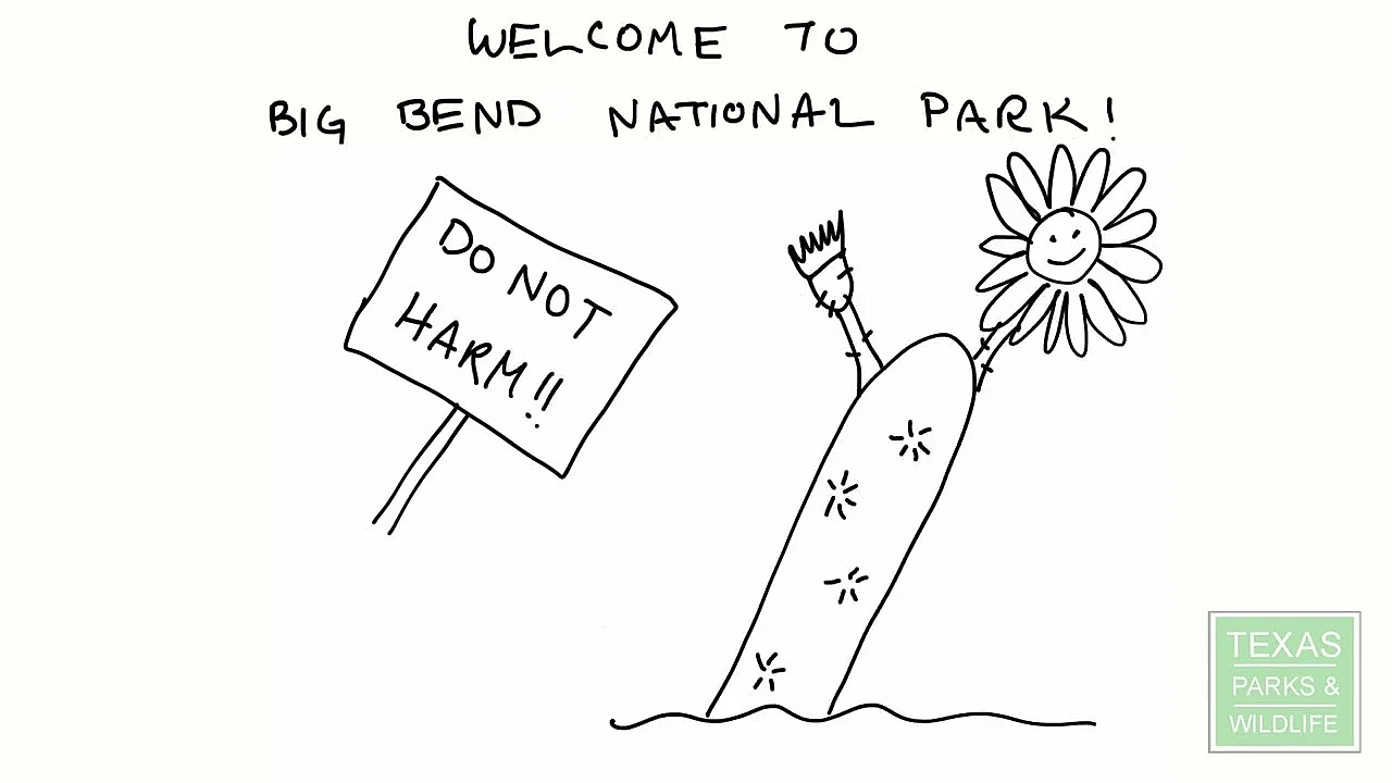 Threatened And Endangered Plant Laws