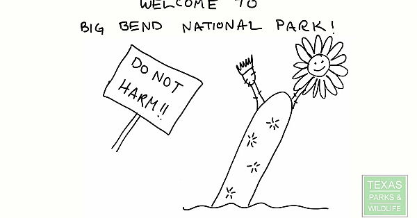 Threatened And Endangered Plant Laws