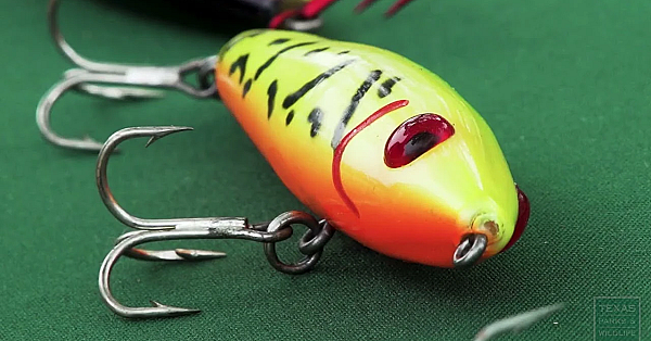 Fishing Tips: Saltwater Tacklebox