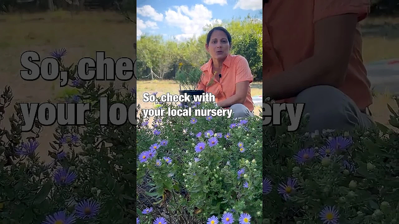 Help #savethepollinators With Texas #nativeplants