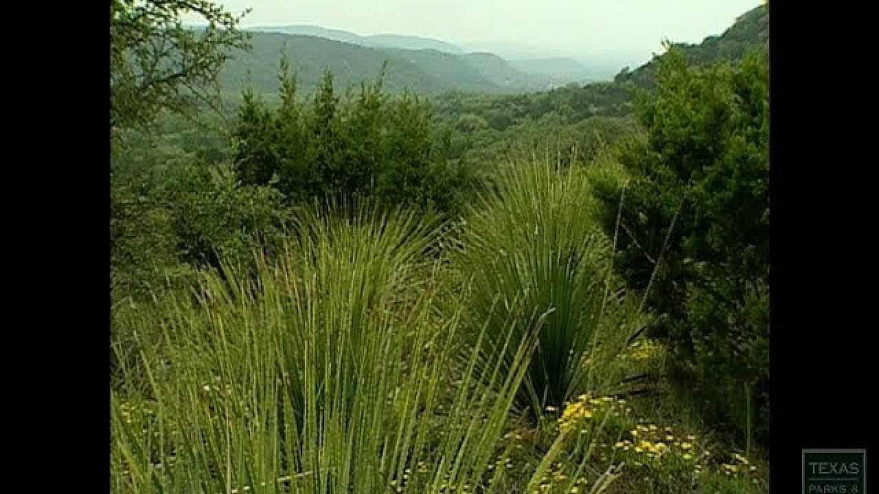 Hill Country State Natural Area - Texas Parks And Wildlife [official]