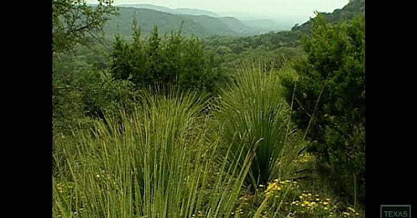 Hill Country State Natural Area - Texas Parks And Wildlife [official]