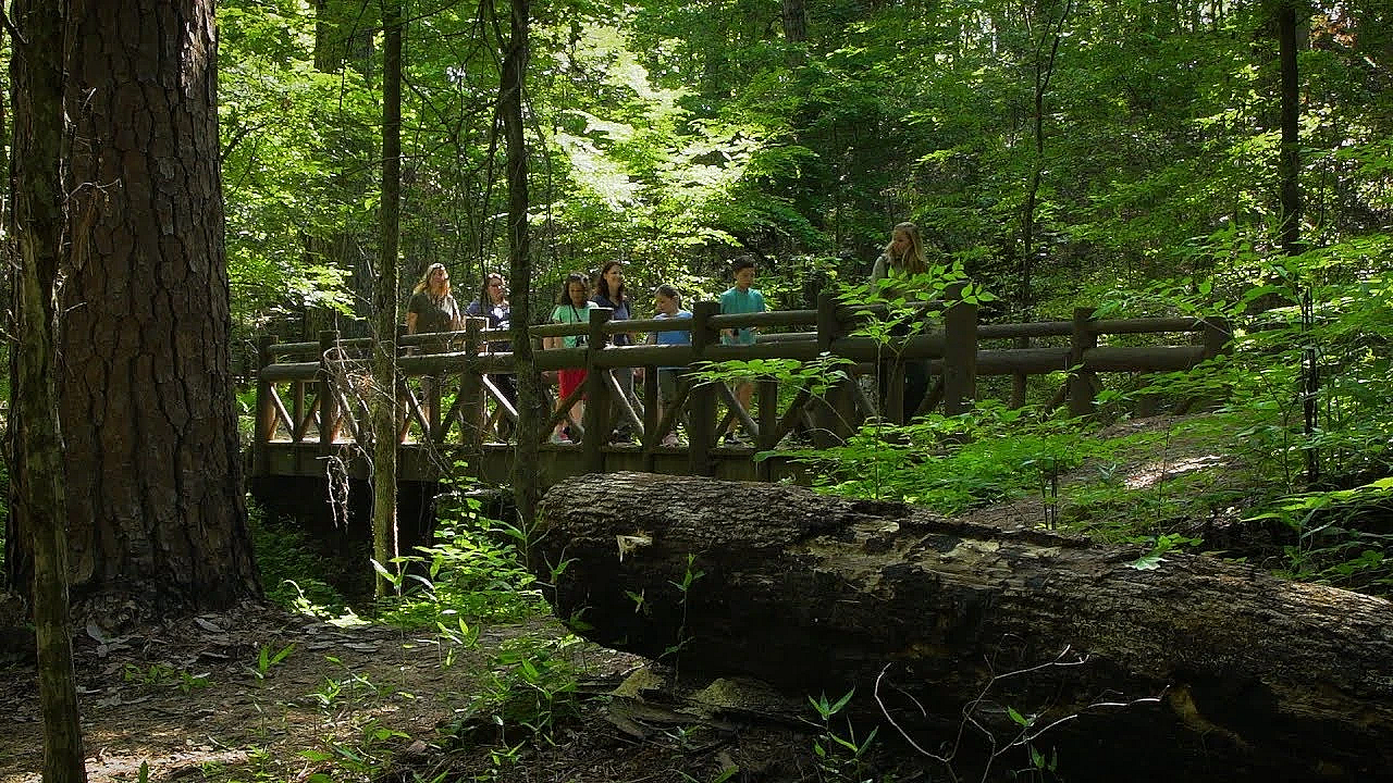 Caddo Lake State Park - Texas Parks &amp; Wildlife [official]