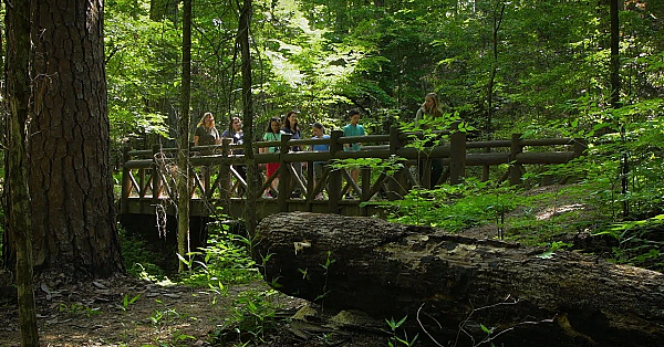 Caddo Lake State Park - Texas Parks &amp; Wildlife [official]