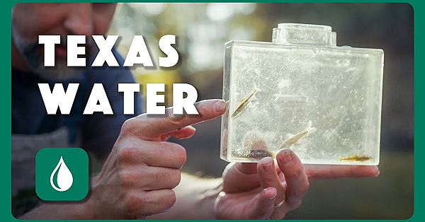 The Future Of Texas Water