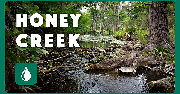 A Hill Country Haven