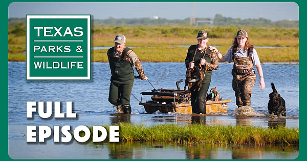 Pbs Show - Wild Wetlands, Paddling Port O’connor &amp; Eclipse Village