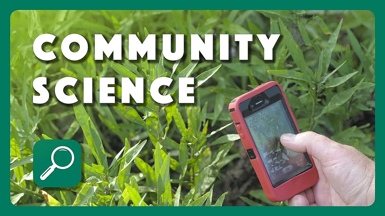 What Is Community Science?