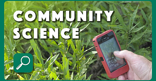 What Is Community Science?