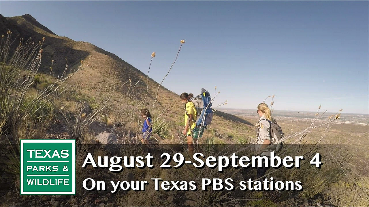 Pbs Preview - Natural Connection, Blanco River Restoration, Fish Habitat - #2921