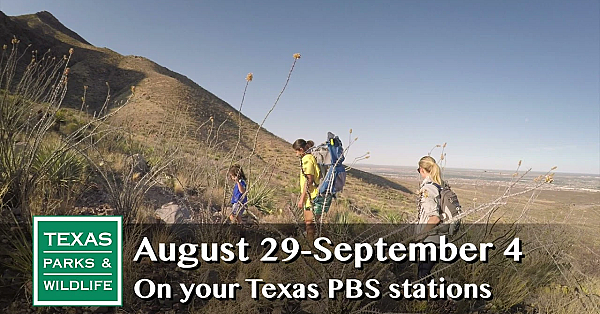 Pbs Preview - Natural Connection, Blanco River Restoration, Fish Habitat - #2921