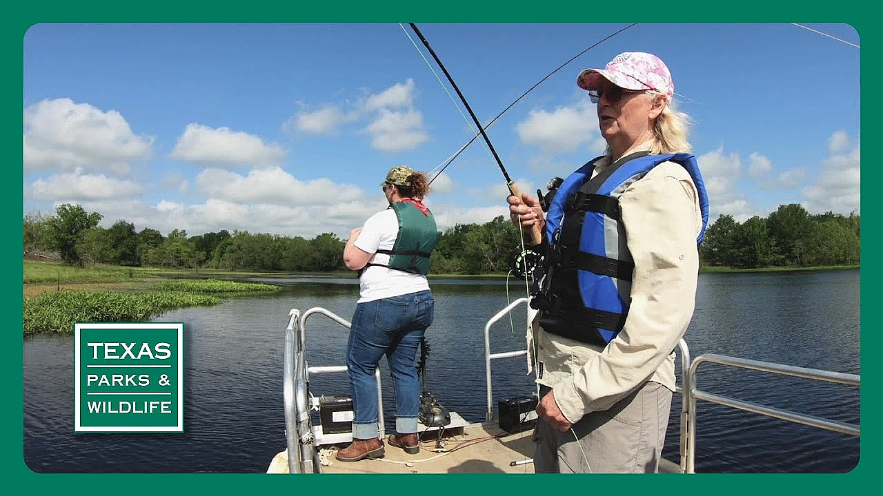 3203 Tease First Air