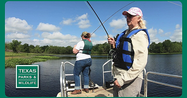 3203 Tease First Air