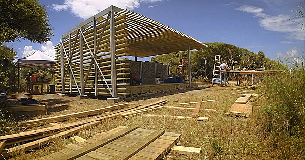 Pbs Show Coastal Parkitecture, Bay Trawlers, Alum Creek Toads, #2712