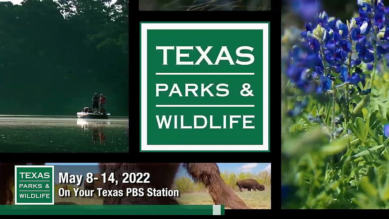 Pbs Preview - Deer Dividends On Opening Day, Looking After Land