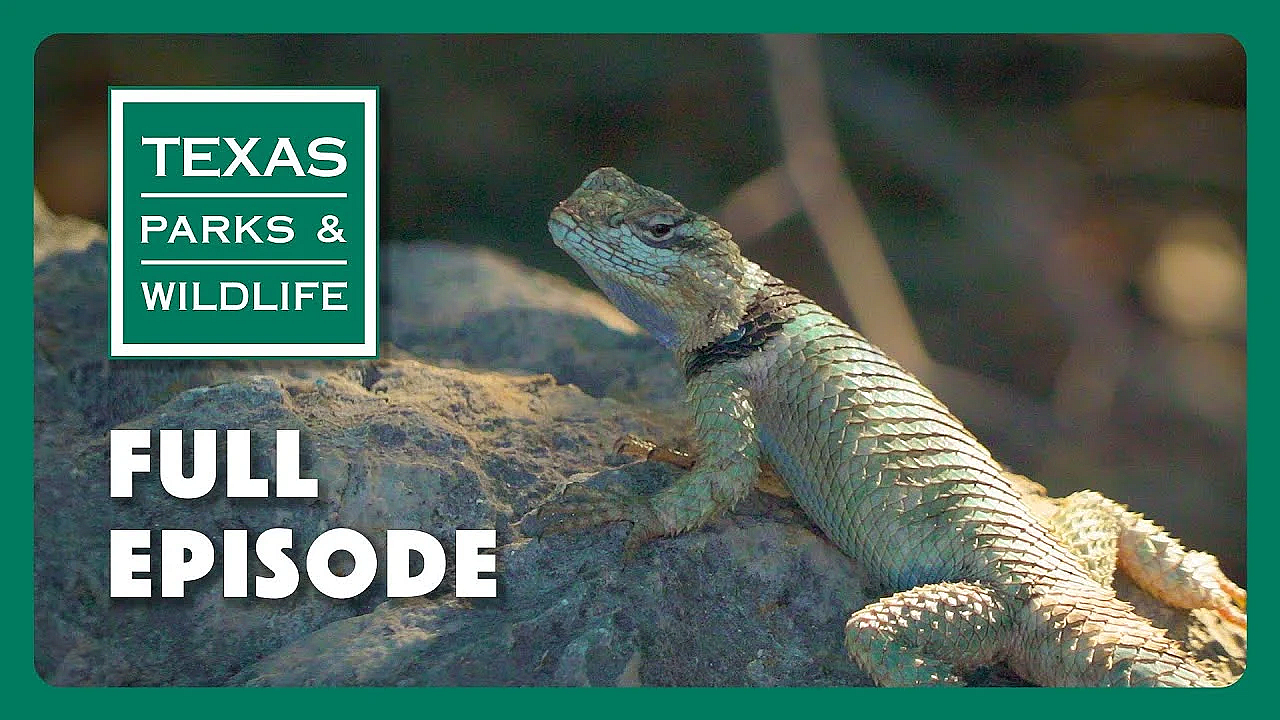 Pbs Show - Devils River Opening &amp; More