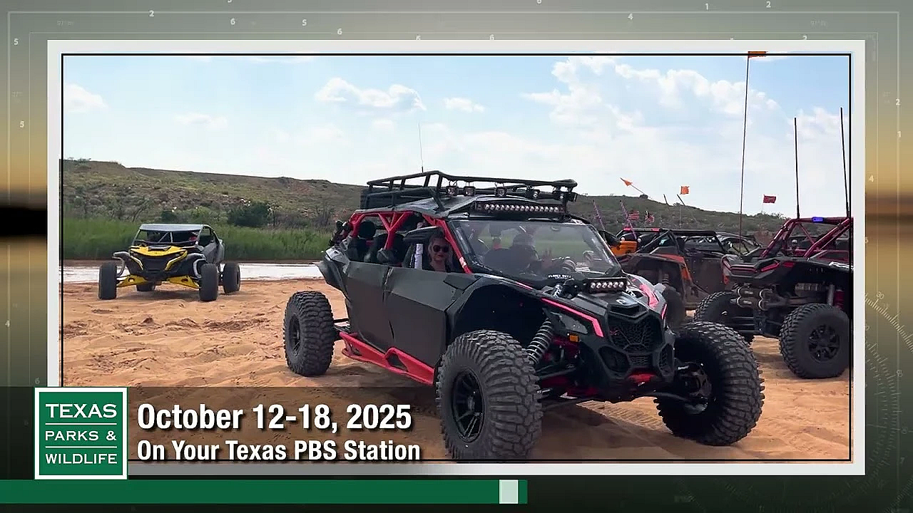 Tpw Trailer - Episode 2, Season 41