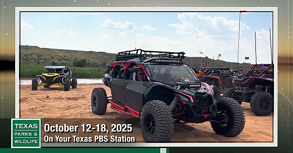 Tpw Trailer - Episode 2, Season 41