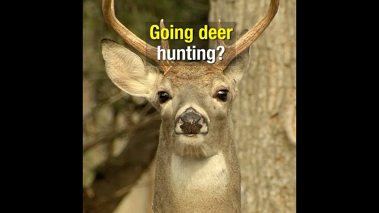 Deer Season Top 3 Things - Texas Parks And Wildlife