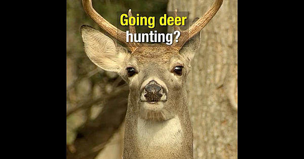 Deer Season Top 3 Things - Texas Parks And Wildlife
