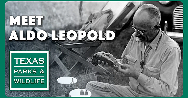 Meet Aldo Leopold