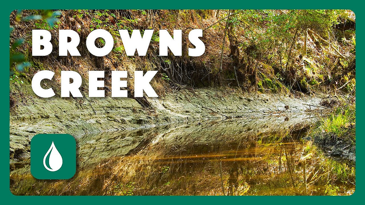 Browns Creek - Postcard From Texas