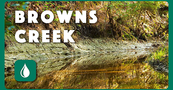 Browns Creek - Postcard From Texas