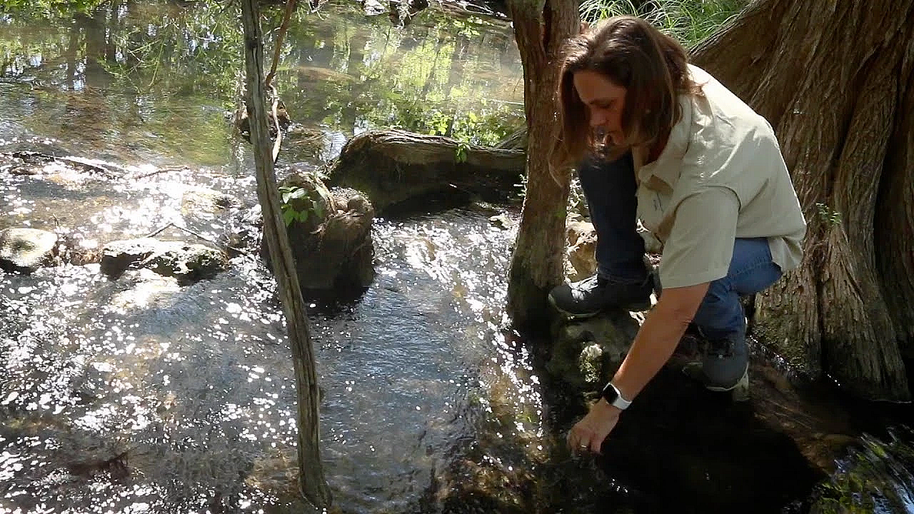 Protecting Our Wild Heritage: Meredith Longoria