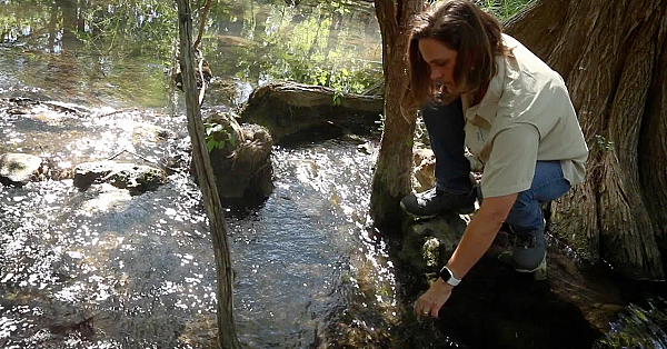 Protecting Our Wild Heritage: Meredith Longoria