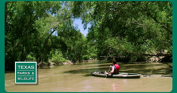 Pbs Preview- Skimmer Savers, Paddling Goliad, Counting Catches