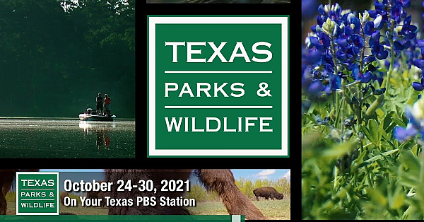 Pbs Preview - Starry Skies, Brushy Creek, Spooky Wildlife - #3003